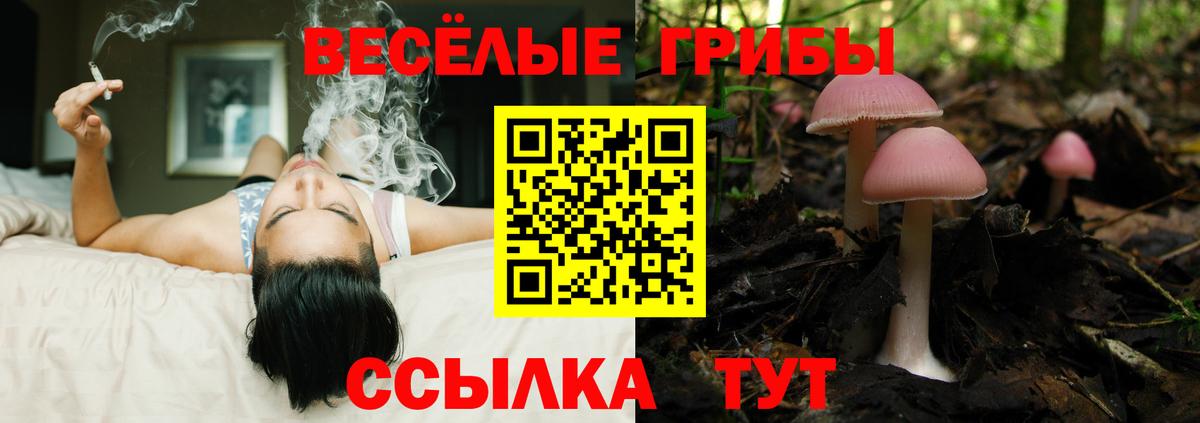 Псилоцибиновые грибы прущие грибы  Вход с VPN  Владикавказ 